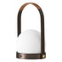 Carrie Led Table Lamp